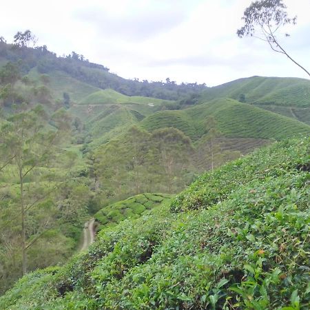 Netasha Holiday Inn And Apartment Cameron Highlands Exterior photo