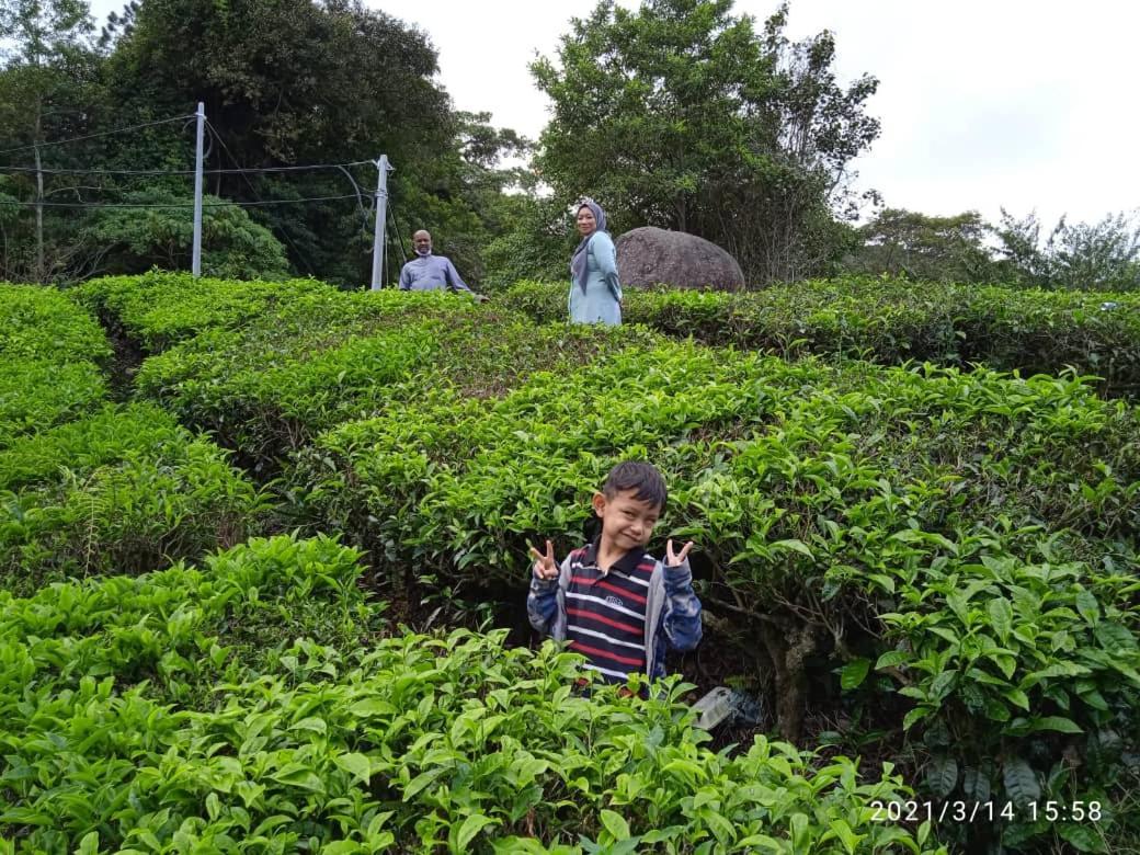 Netasha Holiday Inn And Apartment Cameron Highlands Exterior photo