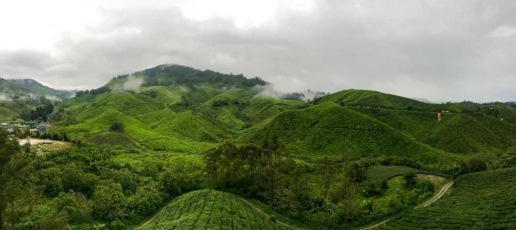 Netasha Holiday Inn And Apartment Cameron Highlands Exterior photo