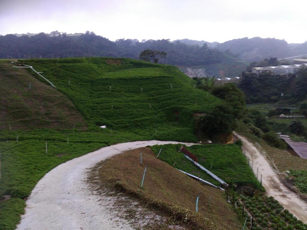 Netasha Holiday Inn And Apartment Cameron Highlands Exterior photo