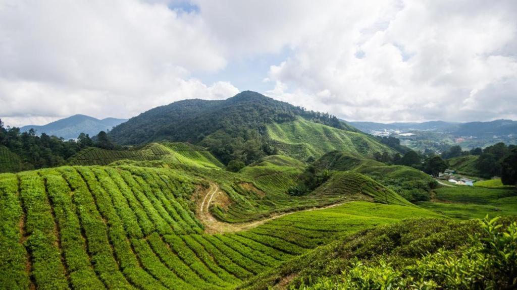 Netasha Holiday Inn And Apartment Cameron Highlands Exterior photo